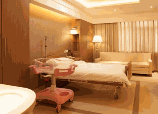 乐祺时代月子会所